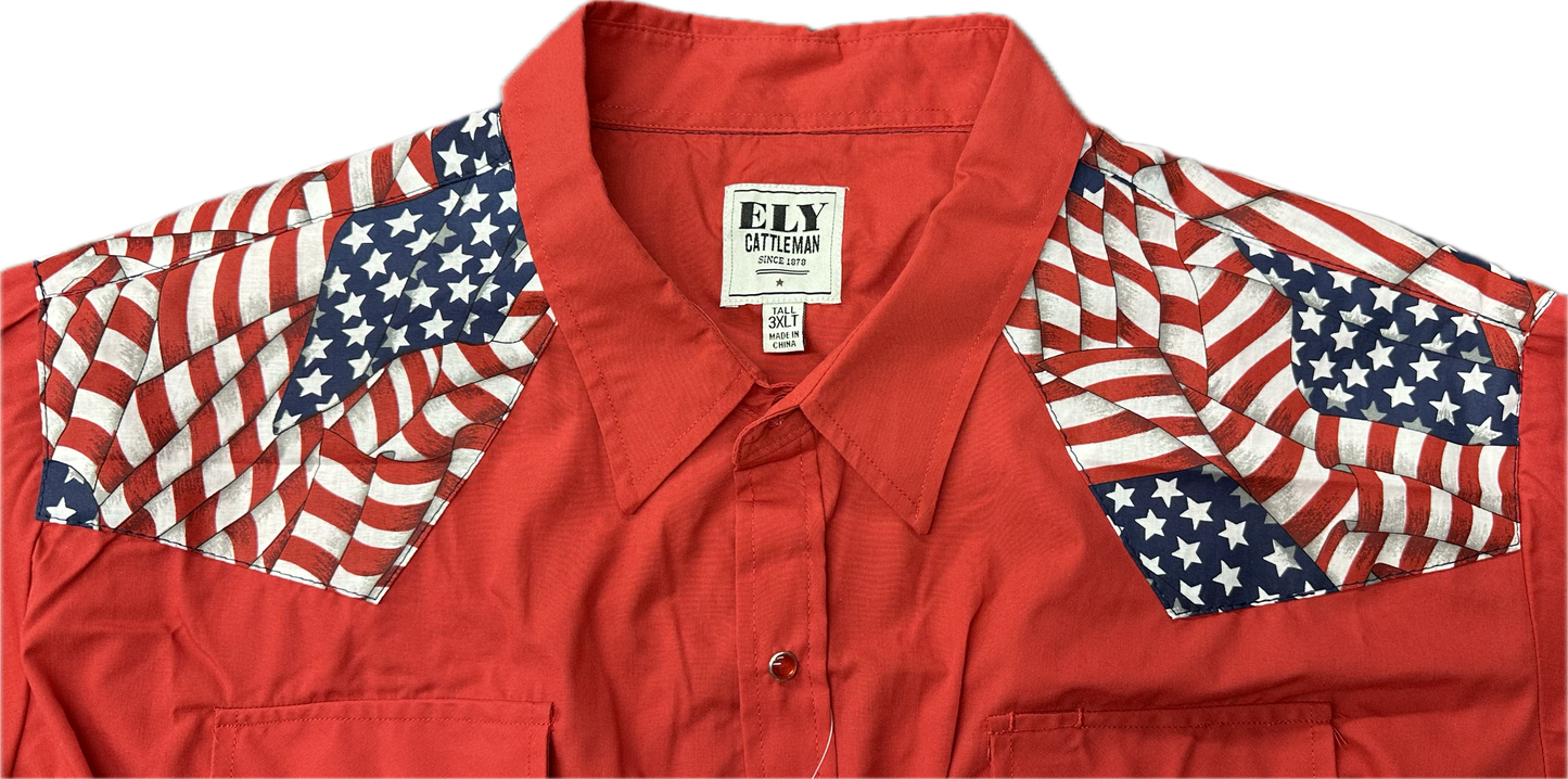 MATCHING Print Yoke and/or Cuffs (shirt NOT included)